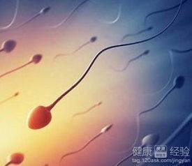 分段射精有效预防男性不育