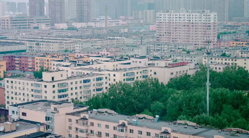 他写下东北人的生死情爱,引发回忆潮 看过的都哭了