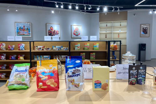 辽宁中俄数字贸易港暨沈阳俄罗斯特色商品馆正式启动 助力区域经济多元化发展